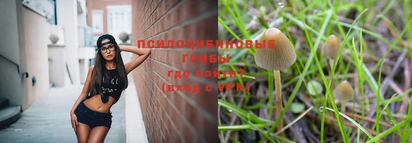 стафф Алзамай