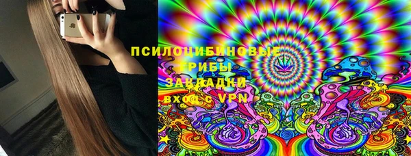 дурь Алексин