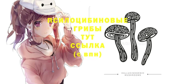 стафф Алзамай