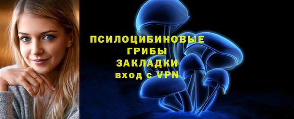 дурь Алексин
