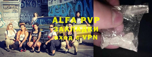 стафф Алзамай