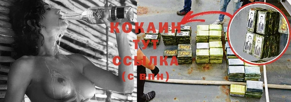 стафф Алзамай